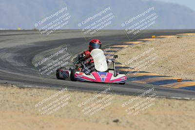 media/Mar-30-2025-Pro Autosports (Sun) [[34ff8f16e0]]/6-Purple Group/Main Race/